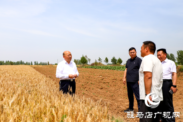 泌阳县长朱东升调研“三夏”生产工作