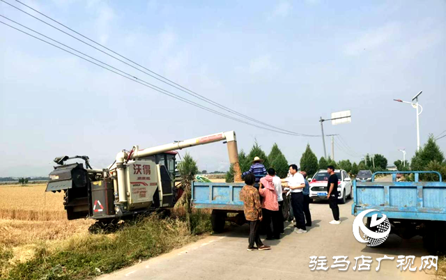 泌阳县象河乡：小麦大丰收 “麦”向好收成