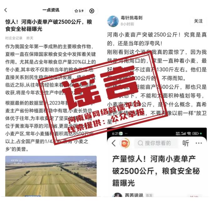 辟谣！网传“河南小麦单产破2500公斤”为不实信息