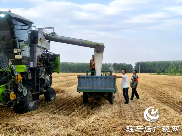 正阳县退役军人事务局党员干部帮助群众抢收小麦