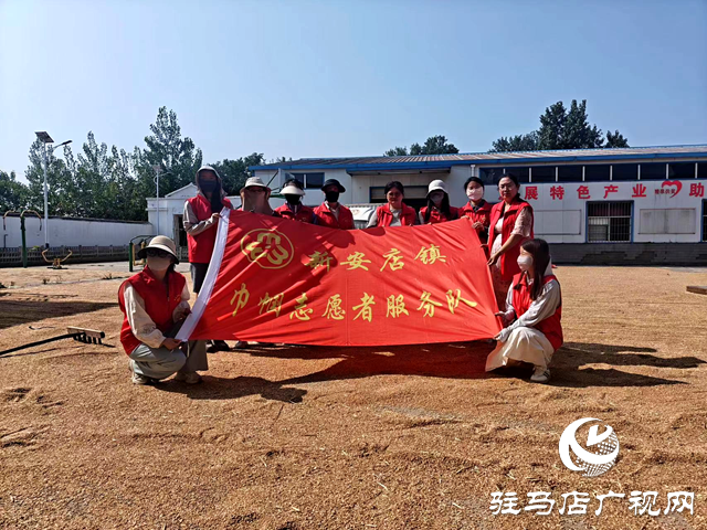 确山县新安店：巾帼志愿者 “三夏”帮扶忙