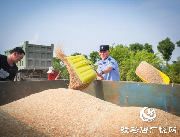 民警全力护航“三夏”麦收