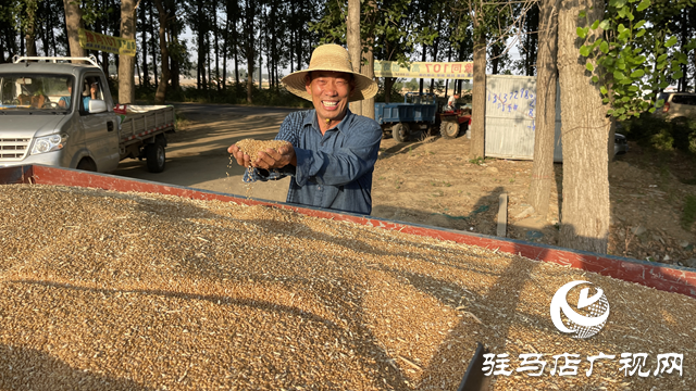 夏粮顺利入仓 粮农笑开颜