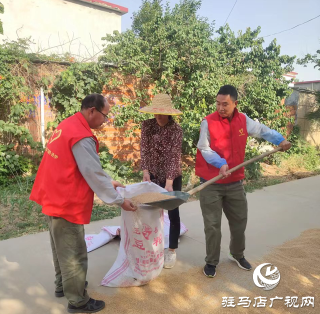 驿城区水屯镇：麦田闪耀志愿红 助力“三夏”解民忧