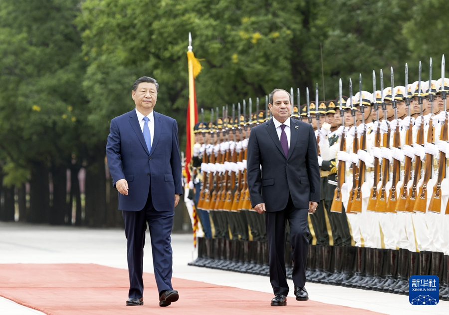 习近平同埃及总统塞西会谈