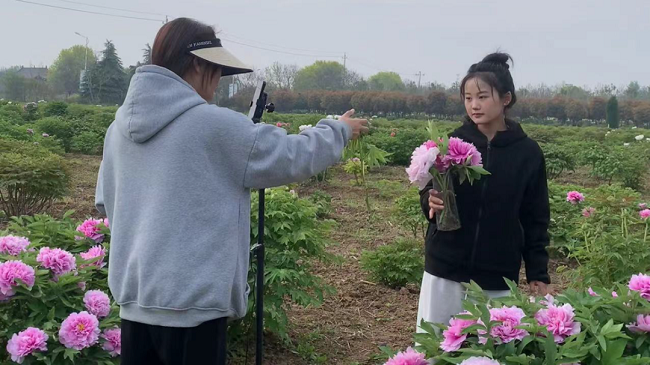 “豫”见四季·夏丨河南“花儿”让颜值变产值