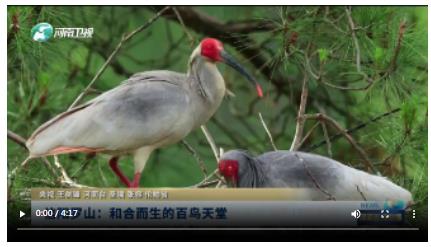 信阳罗山：和合而生的百鸟天堂