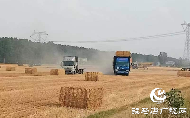 汝南县农业农村局：全力服务麦收一线 确保夏粮颗粒归仓