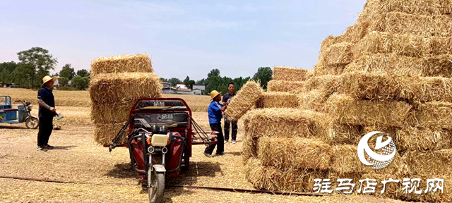 平舆县李屯镇：秸秆打捆离田 实现“变废为宝”