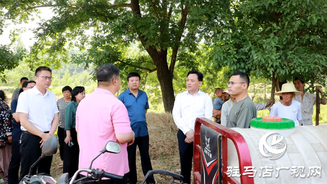 西平县委书记侯公涛调研三夏生产和提水灌溉、取水用水等工作