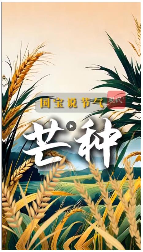 文脉华章｜国宝里的“芒种”，生生不息的华夏密码