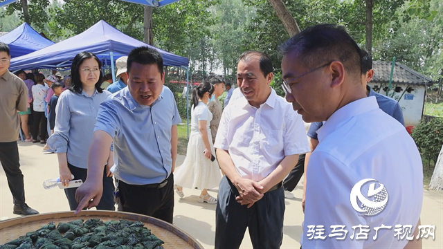 新蔡县举行第三届端午民俗文化活动