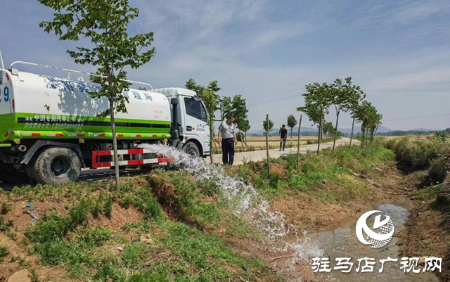 泌阳县王店镇：抗旱浇水忙 灌溉保秋收