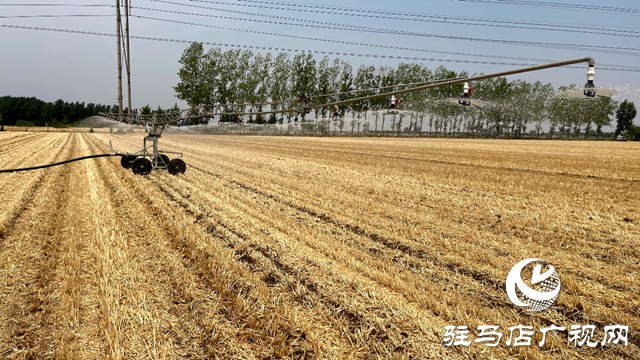 人工智能进田地 抗旱用上高科技