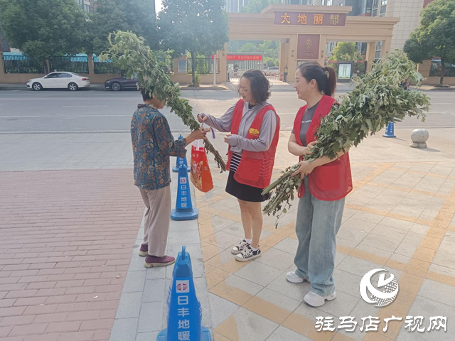 驻马店经济开发区界牌社区开展端午送“艾”活动