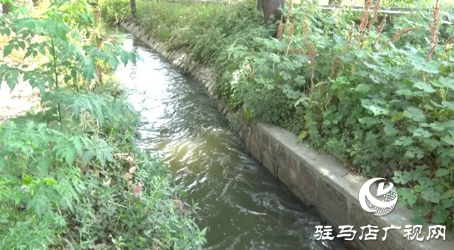 遂平县：中小型水库及时开闸放水保夏种