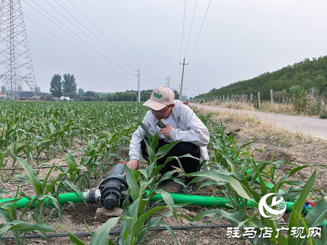 驿城区水屯镇：抗旱造墒 抢种保苗