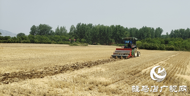 泌阳县：久旱逢甘霖 轮作抢农时