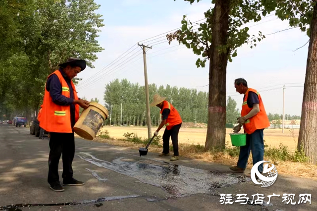 新蔡县佛阁寺镇：情系群众办实事 维修道路暖人心