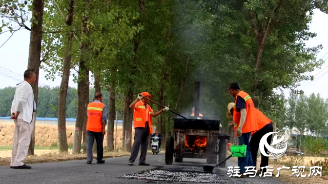 新蔡县佛阁寺镇：情系群众办实事 维修道路暖人心