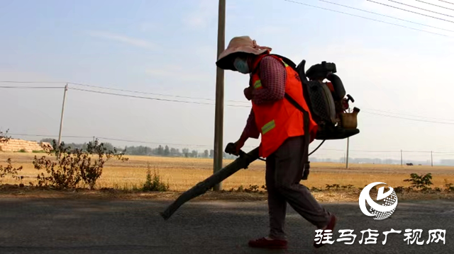 新蔡县佛阁寺镇：情系群众办实事 维修道路暖人心