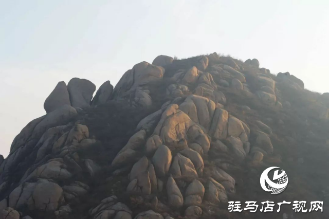 探秘泌阳盆景黑石山：大自然的鬼斧神工