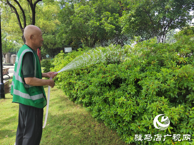 园林工人高温坚守 用汗水浇灌“绿荫”