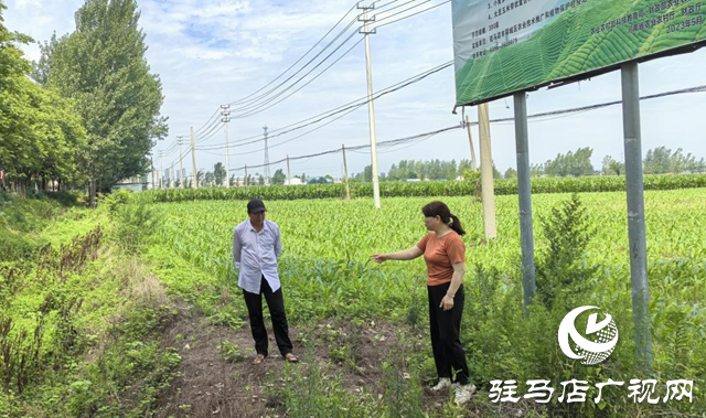 暴雨过后如何防范农田内涝？农业专家支招