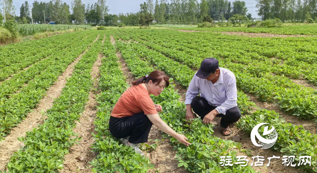 暴雨过后如何防范农田内涝？农业专家支招