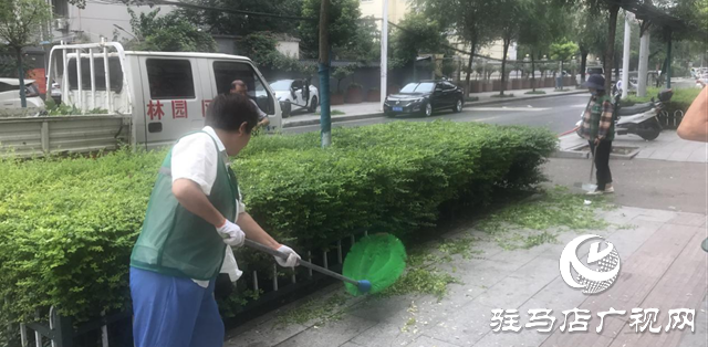 驻马店经济开发区城市管理局雨后绿化精管养 城市景观焕新颜