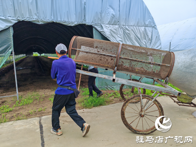 平舆县辛店乡黄寨村：蚯蚓养殖“蚓”出致富新路子