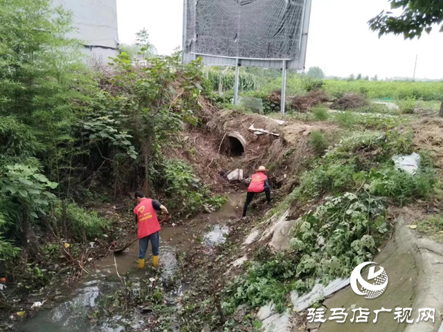 驻马店经济开发区贾庄居委会志愿者冒雨清理河道