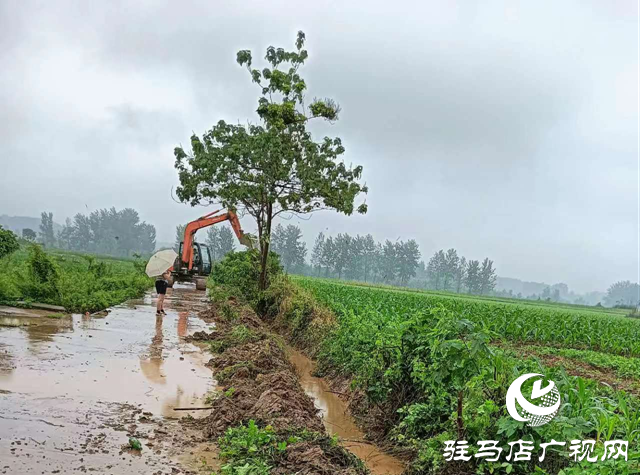 驿城区蚁蜂镇：全面做好降雨应对工作 筑牢汛期安全屏障