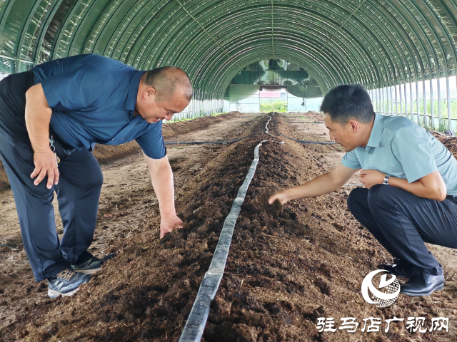 平舆县辛店乡黄寨村：蚯蚓养殖“蚓”出致富新路子