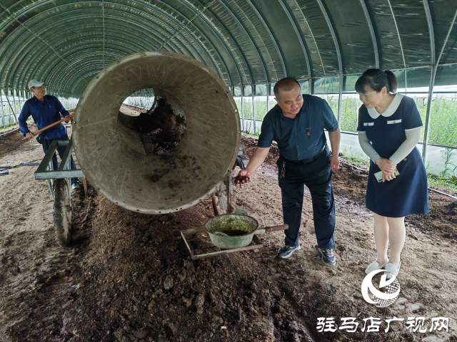 平舆县辛店乡黄寨村：蚯蚓养殖“蚓”出致富新路子