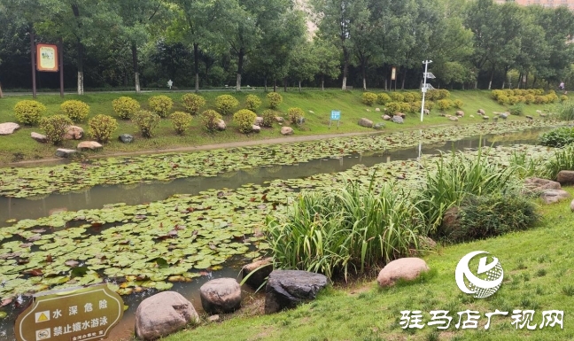 邂逅小清新 雨后公园别样美