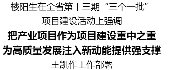 河南省第十三期“三个一批”项目建设活动举行