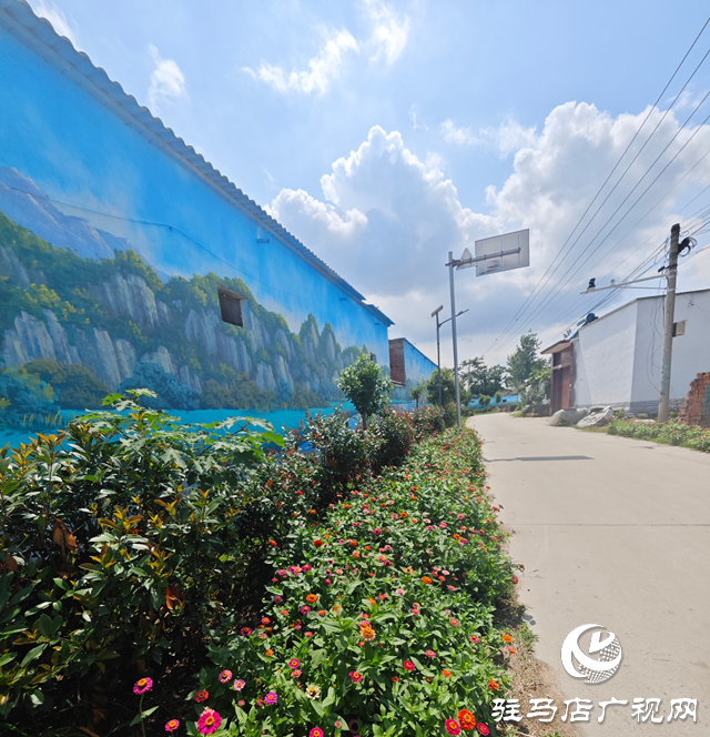 泌阳县下碑寺乡：花开美景添光彩 扮靓乡村高“颜值”