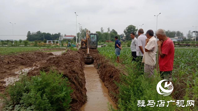 驿城区朱古洞乡：全力做好农田排涝和管理 力保秋粮丰收