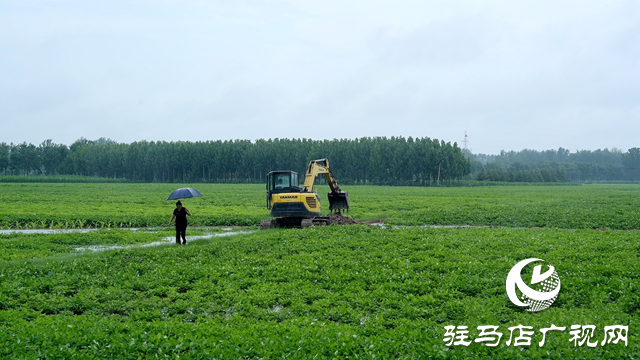 新蔡县：闻“汛”而动 向“雨”而行