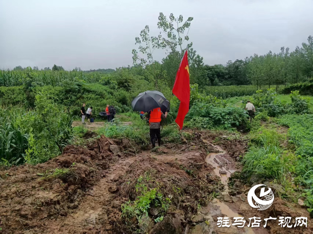 【防汛一线】确山县石滚河镇：防汛一线党旗红  守土尽责显担当