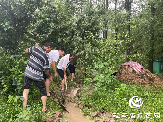 新蔡县砖店镇：闻“汛”而动战风雨 干群同心显担当