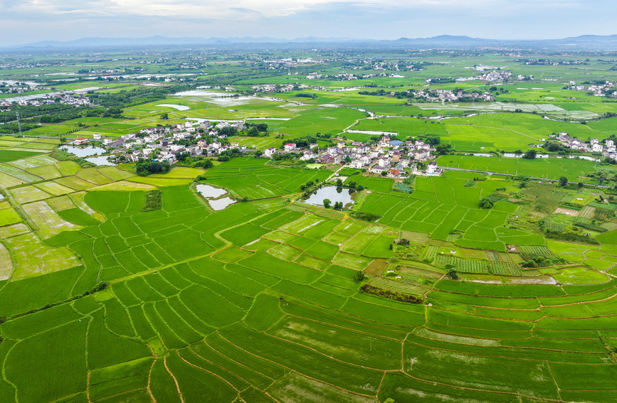 和美乡村景美如画