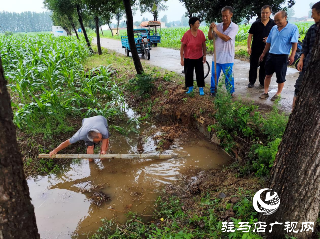 平舆县十字路乡：多措施开展防汛救灾 聚力筑牢群众安全屏障