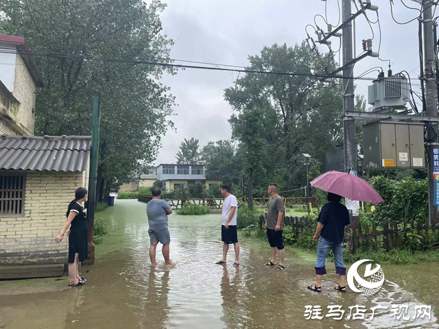 新蔡县砖店镇：闻“汛”而动战风雨 干群同心显担当