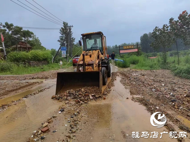 驿城区胡庙乡：落实落细各项防汛工作措施 全力打好防汛“主动仗”