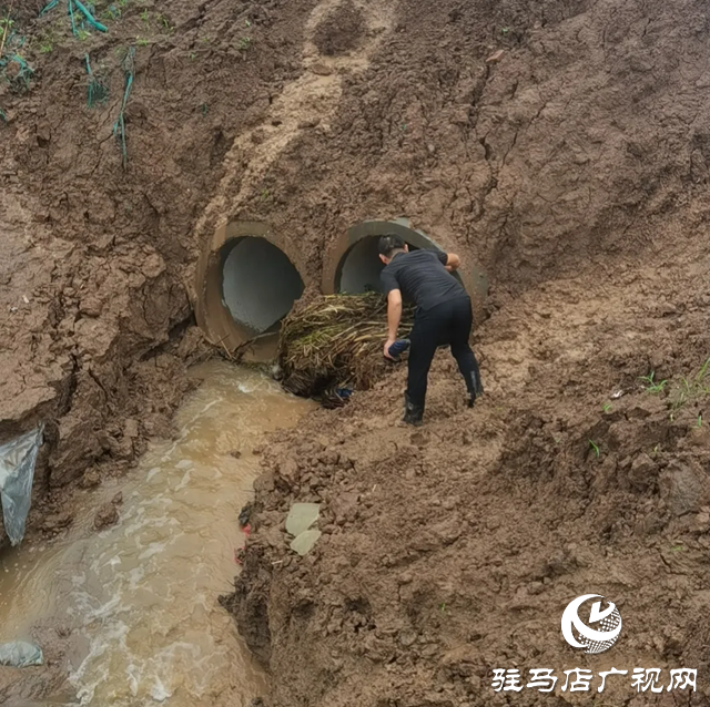 新蔡县练村镇：“防汛”+“备汛” 全力筑牢汛期“安全墙”