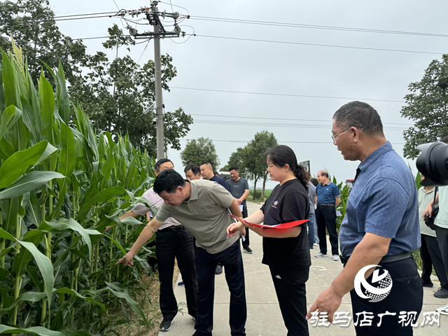 驻马店市农科院组织开展秋作物科技示范基地观摩