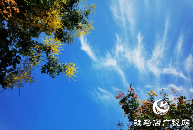 天朗气清 蓝天白云绘就美丽画卷