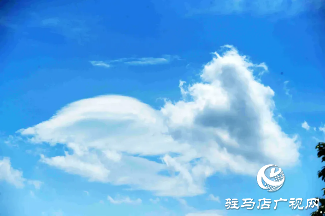 天朗气清 蓝天白云绘就美丽画卷
